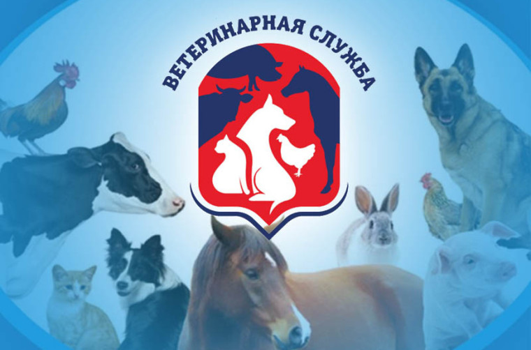 Иформация. Иформация.